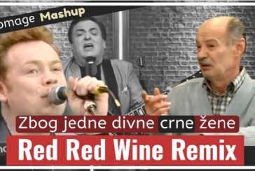 Zbog jedne divne crne žene Mashup – Red Red Wine Remix