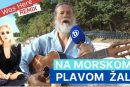 Na Morskome Plavom Žalu – Vinko Gvozdanović